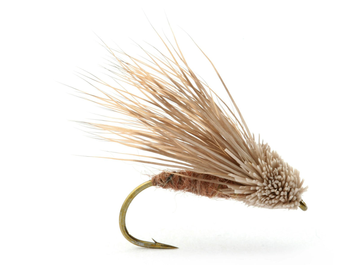 Streaking Caddis #8