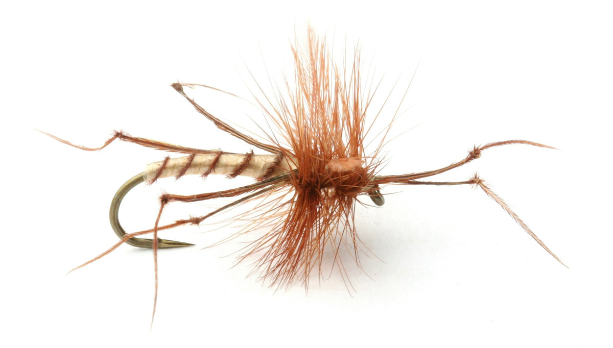 Daddy Long Legs #10