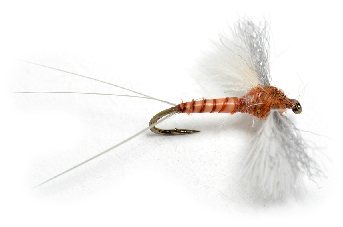 CDC Biot Spinner Rusty #14
