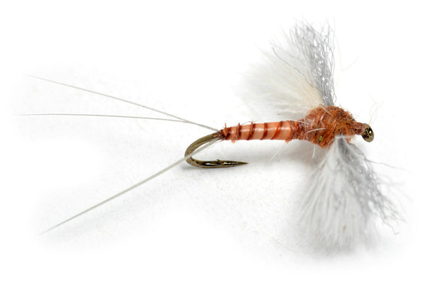 CDC Biot Spinner Rusty #14
