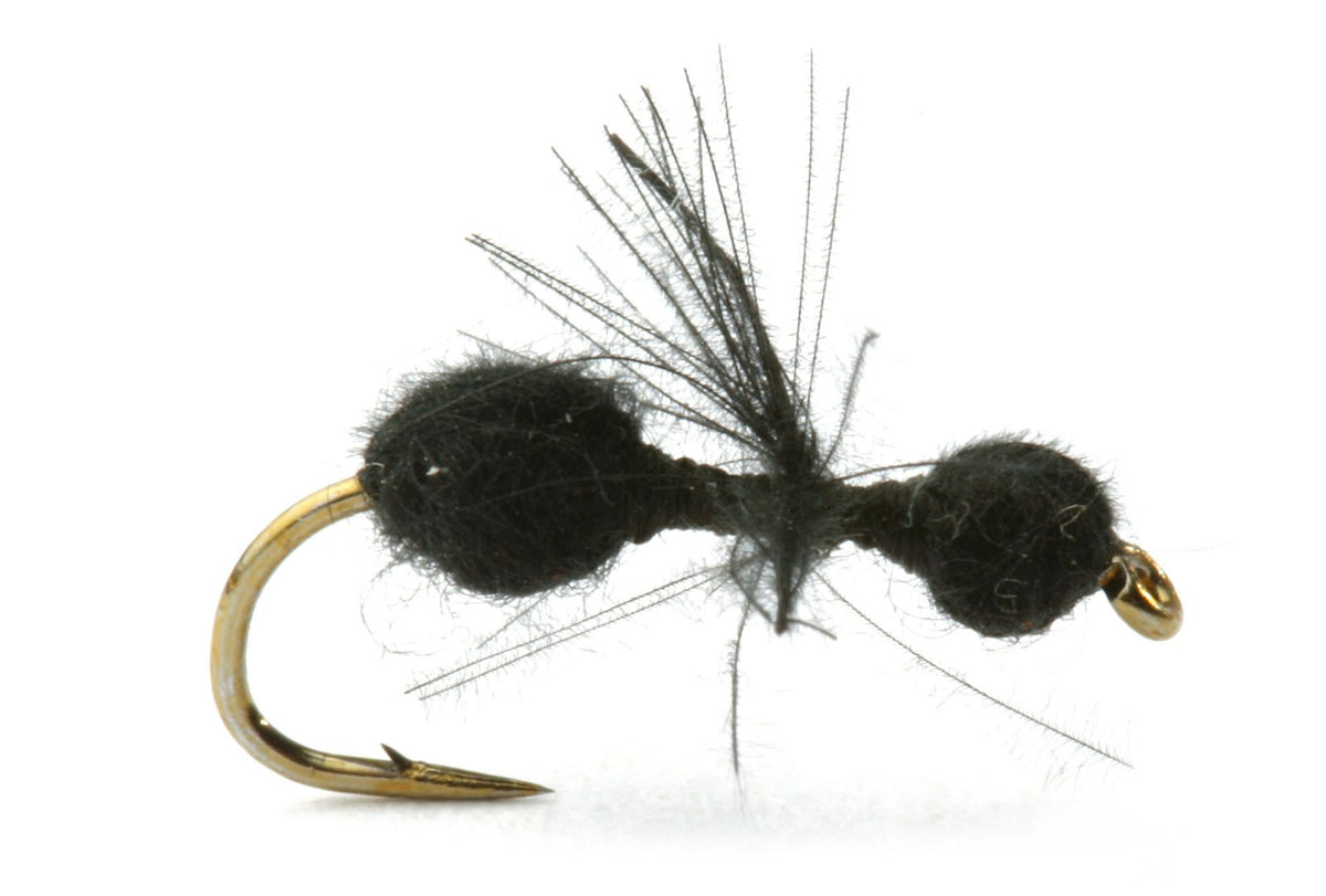 CDC Black Ant #14