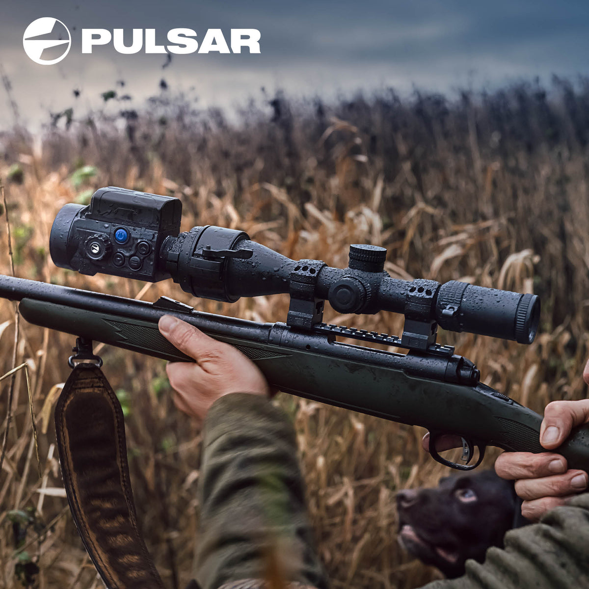 Pulsar Krypton 2 FXG50 termisk kikkert